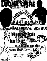 source: http://www.thecubsfan.com/cmll/images/cards/1985Laguna/19880602aol.png