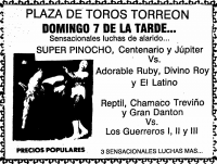 source: http://www.thecubsfan.com/cmll/images/cards/1985Laguna/19880619plaza.png