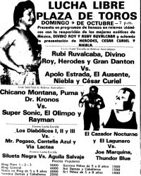 source: http://www.thecubsfan.com/cmll/images/cards/1985Laguna/19881009plaza.png