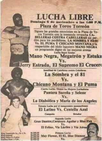 source: http://www.thecubsfan.com/cmll/images/cards/1985Laguna/19881106plaza.png