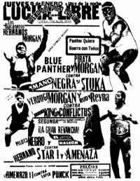 source: http://www.thecubsfan.com/cmll/images/cards/1985Laguna/19890105aol.png