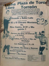 source: http://www.thecubsfan.com/cmll/images/cards/1985Laguna/19890205plaza.png