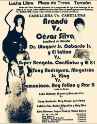 source: http://www.thecubsfan.com/cmll/images/cards/1985Laguna/19890528plaza.png