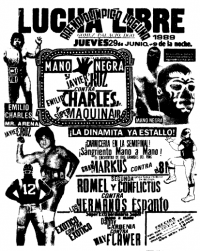 source: http://www.thecubsfan.com/cmll/images/cards/1985Laguna/19890629aol.png
