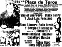 source: http://www.thecubsfan.com/cmll/images/cards/1985Laguna/19890924plaza.png