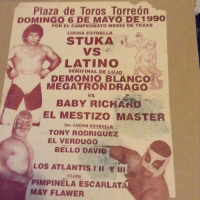 source: http://www.thecubsfan.com/cmll/images/cards/1990Laguna/19900506plaza.png