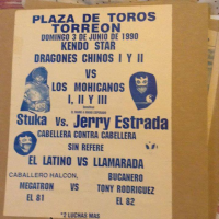 source: http://www.thecubsfan.com/cmll/images/cards/1990Laguna/19900603plaza.png