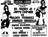 source: http://www.thecubsfan.com/cmll/images/cards/1990Laguna/19900617auditorio.png