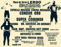 source: http://www.thecubsfan.com/cmll/images/cards/1990Laguna/19900624lerdo.png