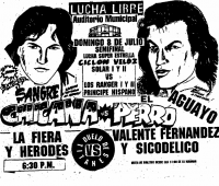 source: http://www.thecubsfan.com/cmll/images/cards/1990Laguna/19900708auditorio.png