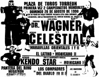 source: http://www.thecubsfan.com/cmll/images/cards/1990Laguna/19900826plaza.png