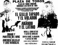 source: http://www.thecubsfan.com/cmll/images/cards/1990Laguna/19910505plaza.png