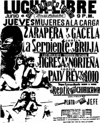 source: http://www.thecubsfan.com/cmll/images/cards/1990Laguna/19910606aol.png