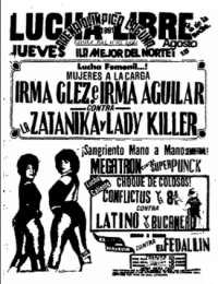 source: http://www.thecubsfan.com/cmll/images/cards/1990Laguna/19910815aol.png