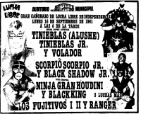 source: http://www.thecubsfan.com/cmll/images/cards/1990Laguna/19910916auditorio.png