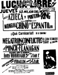 source: http://www.thecubsfan.com/cmll/images/cards/1990Laguna/19920116aol.png