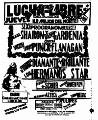 source: http://www.thecubsfan.com/cmll/images/cards/1990Laguna/19920813aol.png