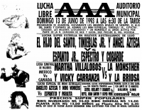 source: http://www.thecubsfan.com/cmll/images/cards/1990Laguna/19930613auditorio.png
