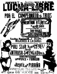 source: http://www.thecubsfan.com/cmll/images/cards/1990Laguna/19940602aol.png
