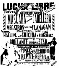 source: http://www.thecubsfan.com/cmll/images/cards/1990Laguna/19940825aol.png