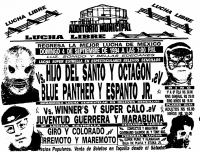 source: http://www.thecubsfan.com/cmll/images/cards/1990Laguna/19940904auditorio.png