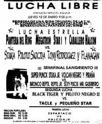 source: http://www.thecubsfan.com/cmll/images/cards/1990Laguna/19950112aol.png