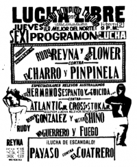 source: http://www.thecubsfan.com/cmll/images/cards/1990Laguna/19950202aol.png