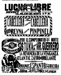 source: http://www.thecubsfan.com/cmll/images/cards/1990Laguna/19950216aol.png
