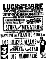 source: http://www.thecubsfan.com/cmll/images/cards/1990Laguna/19950518aol.png