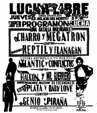 source: http://www.thecubsfan.com/cmll/images/cards/1990Laguna/19950525aol.png