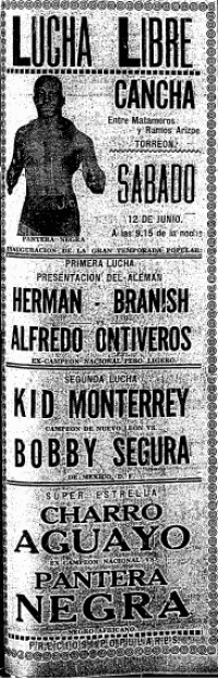 source: http://www.luchadb.com/images/cards/1930Laguna/19370613cancha.png