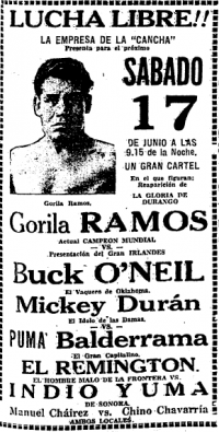 source: http://www.luchadb.com/images/cards/1930Laguna/19390617cancha.png