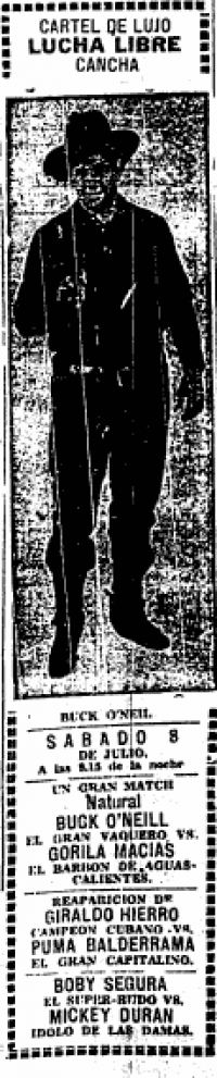 source: http://www.luchadb.com/images/cards/1930Laguna/19390708cancha.png