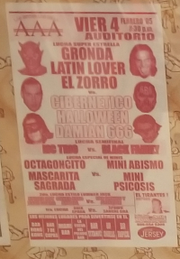 source: http://thecubsfan.com/cmll/images/2019-03/20050204aaa.png