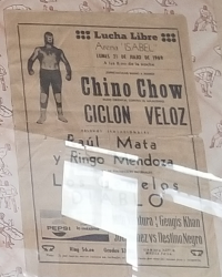 source: http://thecubsfan.com/cmll/images/2019-03/19690721isabel.png
