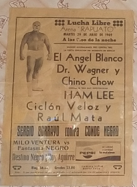source: http://thecubsfan.com/cmll/images/2019-03/19690729irapuato.png