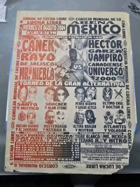 source: http://luchadb.com/posters/uploads/Rob_20251218J/Rob_20251218J_17.png