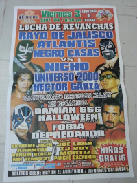 source: http://luchadb.com/posters/uploads/Rob_2026020402/Rob_2026020402_01.png