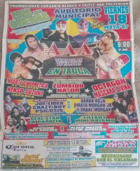 source: http://luchadb.com/posters/uploads/20251216A/20251216_13.png