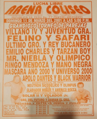 source: http://luchadb.com/posters/uploads/rob/20010311%20arena%20coliseo.png