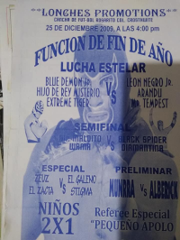 source: http://luchadb.com/posters/uploads/Rob_2026020403/Rob_2026020403_06.png