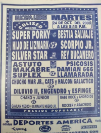 source: http://luchadb.com/posters/uploads/Rob_20251218N/Rob_20251218N_01.png