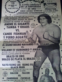 source: http://luchadb.com/posters/uploads/Rob_20251218F/Rob_20251218F_05.png