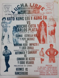 source: http://luchadb.com/posters/uploads/R_20251124-05/FB_IMG_1763501768729.jpg