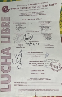 source: http://luchadb.com/posters/uploads/19960402%20-%20BYL_2242%20%28Rob%29.pdf.extracted_images/07.png