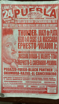 source: https://luchadb.com/posters/uploads/2026062402/2026062402_15.png