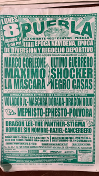 source: https://luchadb.com/posters/uploads/Rob_2026062401/Rob_2026062401_16.png