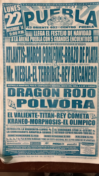 source: https://luchadb.com/posters/uploads/Rob_2026062402/Rob_2026062402_02.png