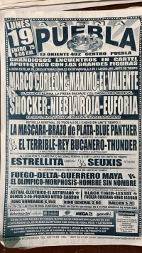 source: https://luchadb.com/posters/uploads/Rob_2026062402/Rob_2026062402_03.png