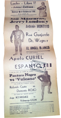 source: http://www.thecubsfan.com/cmll/images/cards/19661009acg.PNG